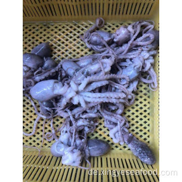 Octopus langes Bein 20-50g